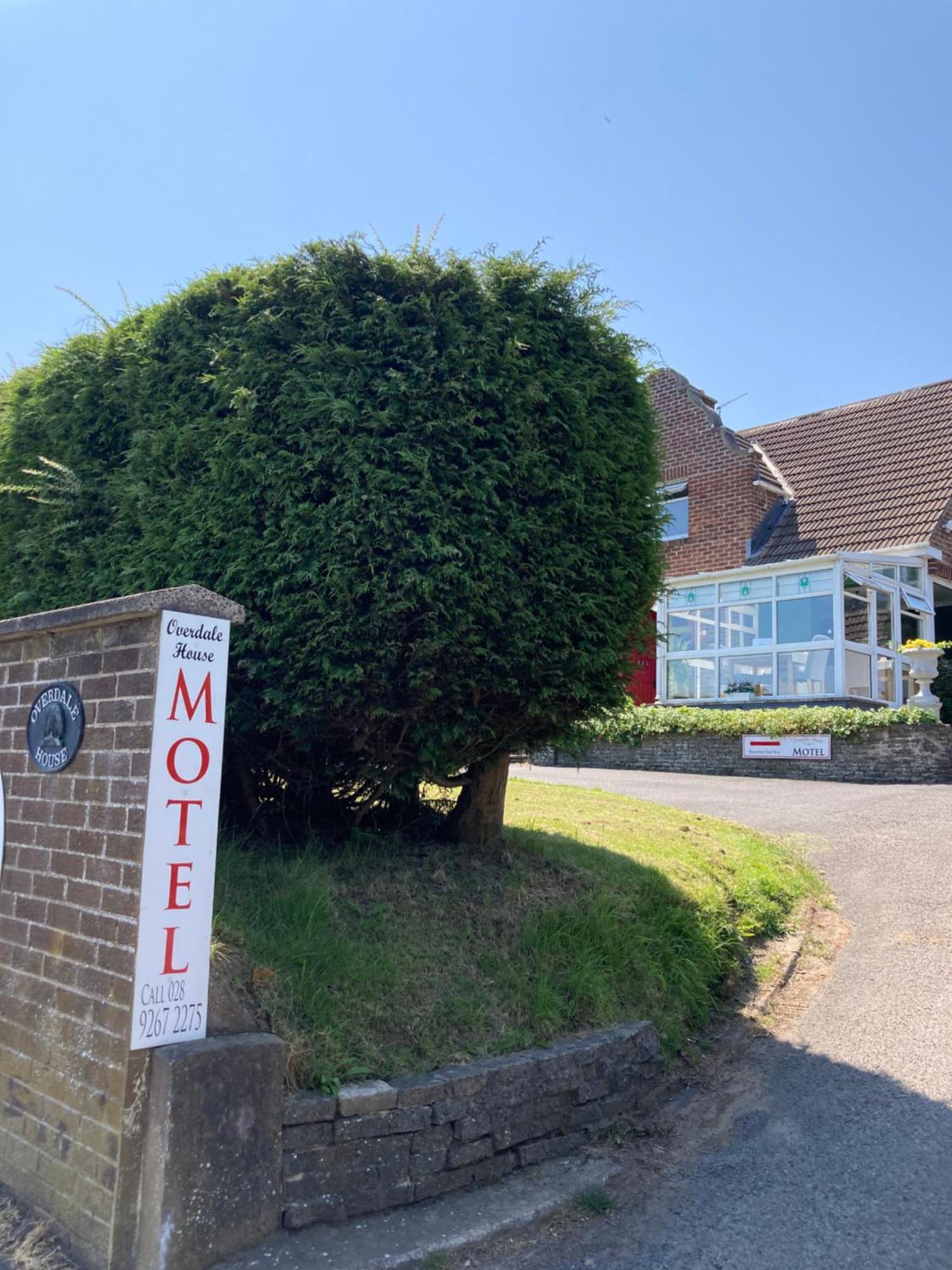 Overdale Motel Lisburn Kültér fotó