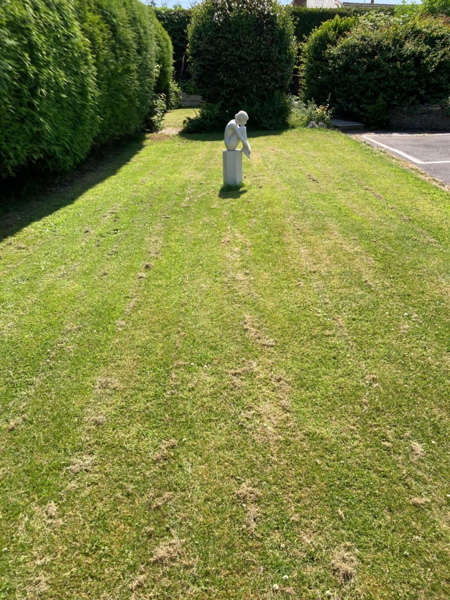 Overdale Motel Lisburn Kültér fotó